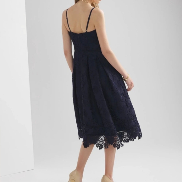 Petite Sleeveless Lace Fit & Flare Midi Dress - Picture 3 of 5